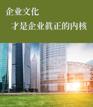 有料小说网有声小说与文字版内容同步更新机制解析